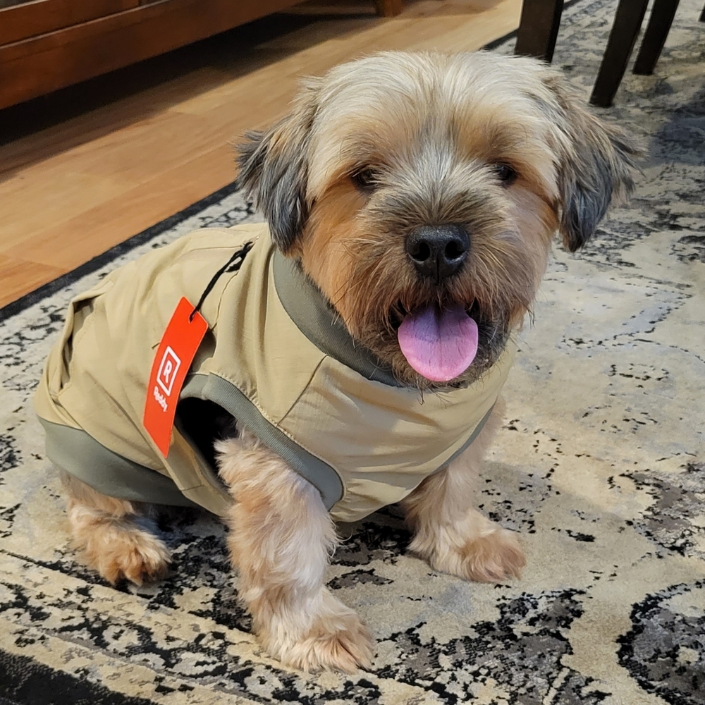 Bomber Jacket L